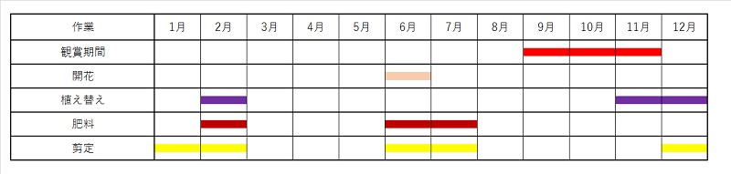 ムラサキシキブ 紫式部 の育て方 ムラサキシキブ 紫式部 の育て方
