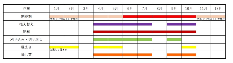 エキザカム ベニヒメリンドウ 紅姫竜胆 の育て方