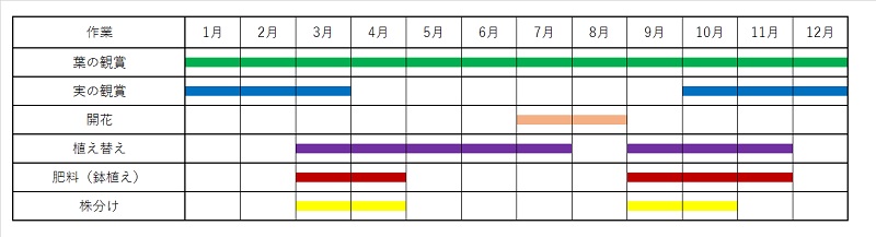 ジャノヒゲ 玉竜 リュウノヒゲ 玉竜 の育て方
